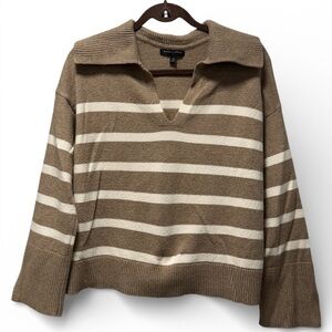 Banana Republic V-Neck Sweater in Brown and Cream Stripes